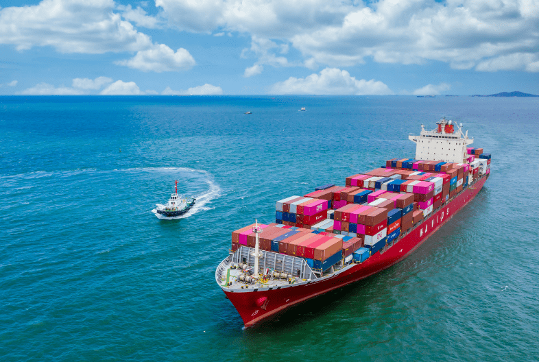 customs clearance company in India